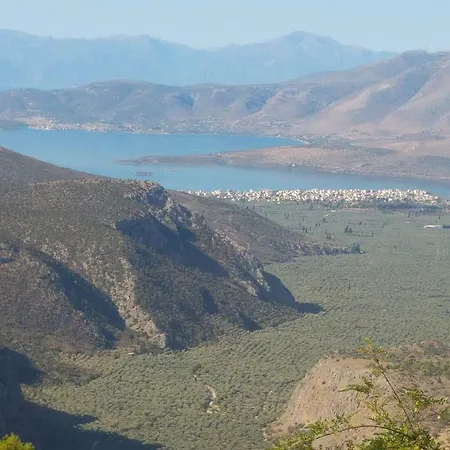 Delphic Horizons Delphoi