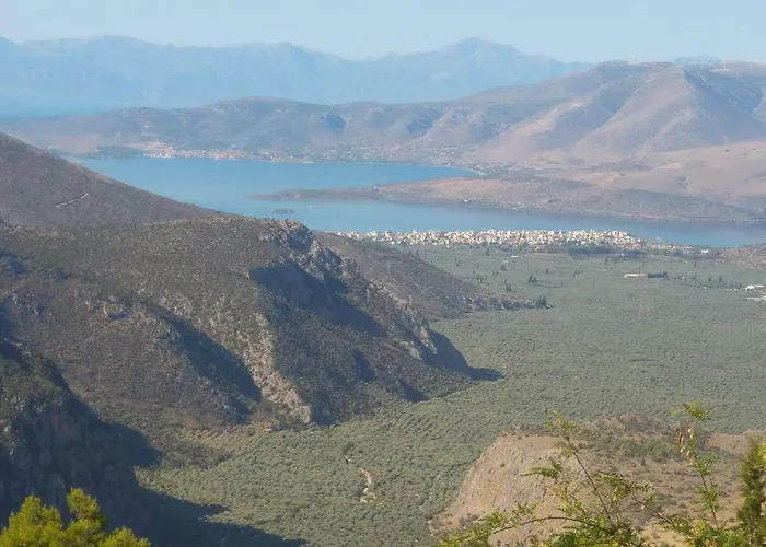 Delphic Horizons Delphi